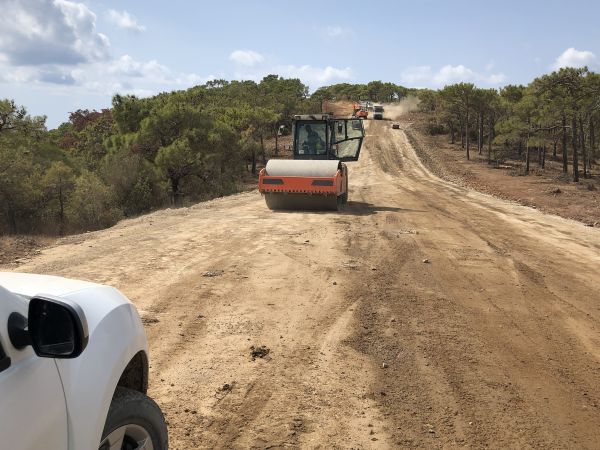 Cost of Driveway Grading in Kernersville